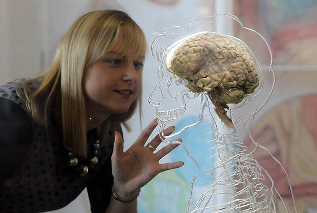 BRISTOL, UNITED KINGDOM - MARCH 10:  Kerrie Grist looks at a real human brain being displayed as part of new exhibition at the @Bristol attraction on March 8, 2011 in Bristol, England. The Real Brain exhibit - which comes with full consent from a anonymous donor and needed full consent from the Human Tissue Authority - is suspended in a large tank engraved with a full scale skeleton on one side and a diagram of the central nervous system on the other and is a key feature of the All About Us exhibition opening this week.  (Photo by Matt Cardy/Getty Images)
