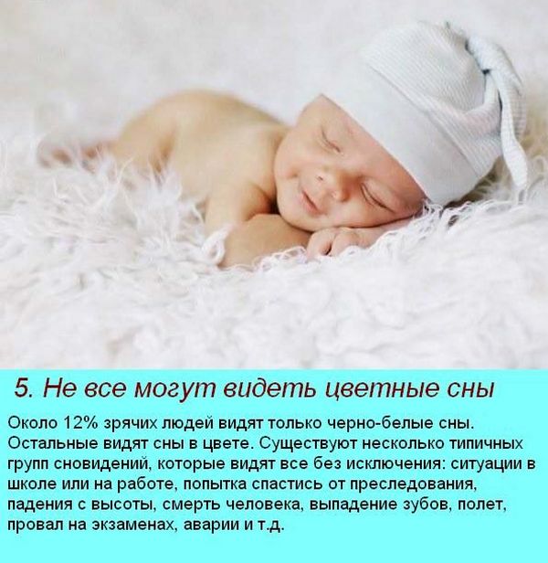 интересные факты о сне 2