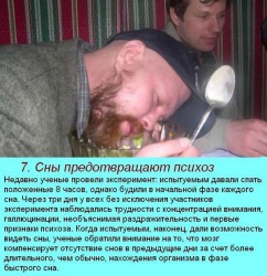 интересные факты о сне