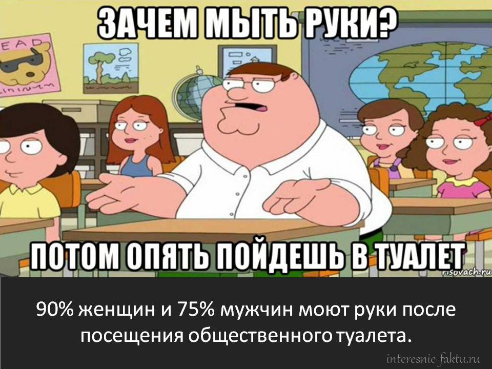 Факты: мужчины и женщины